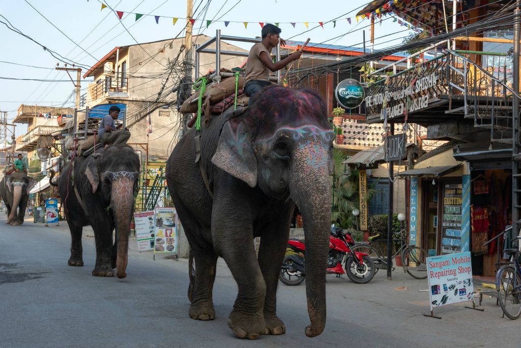 Dans une des rues de la partie moderne du village : éléphants maquillés par leur cornac selon leur inspiration 